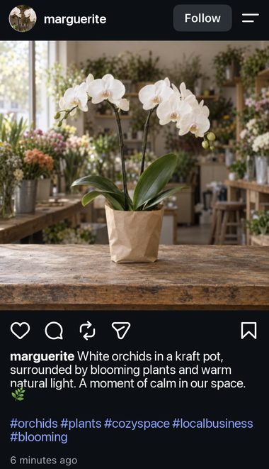 The finished Instagram post: the orchid photo with Lucy’s caption underneath